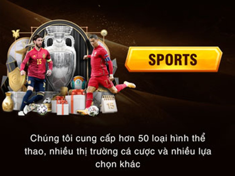 Cá cược thể thao VIVU88